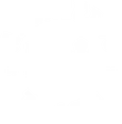 Logo Magnifico Train