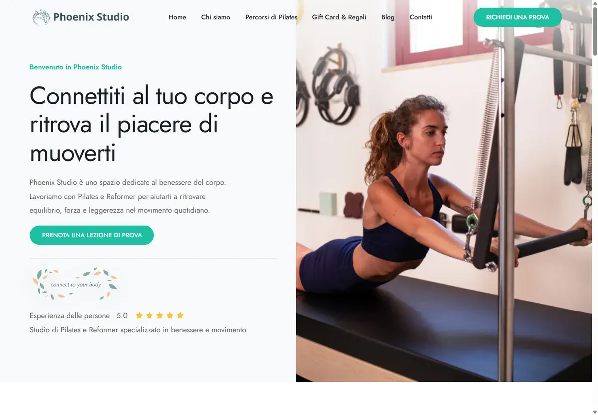Anteprima del progetto Phoenix Studio