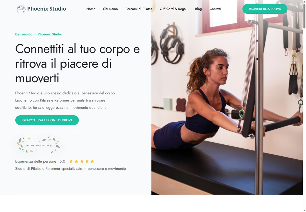 Anteprima del progetto Phoenix Studio